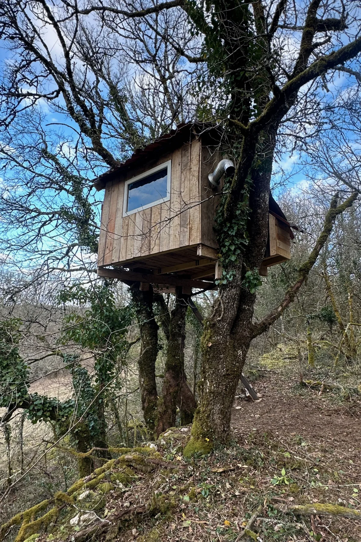 boomhut