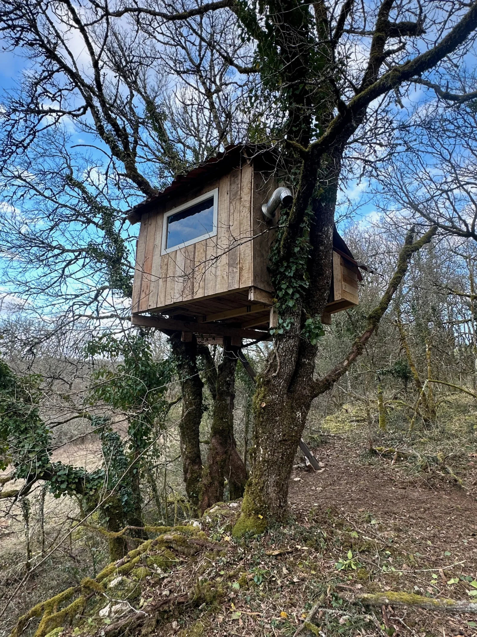 boomhut